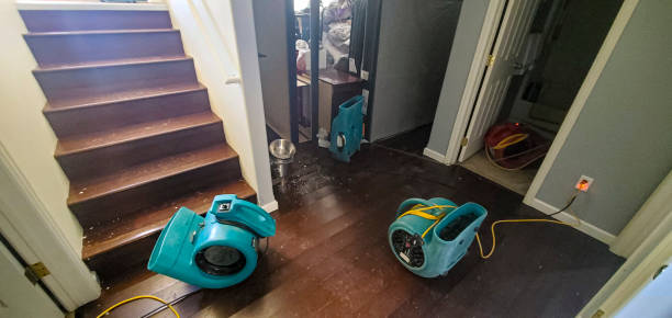 Best Fire Damage Restoration  in Holley, FL