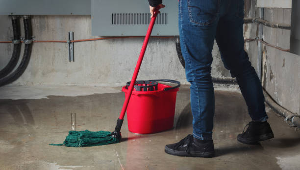 Best Emergency water damage restoration  in Holley, FL