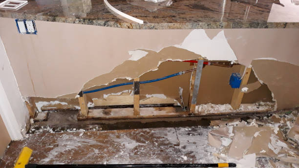 Best Water damage restoration near me  in Holley, FL