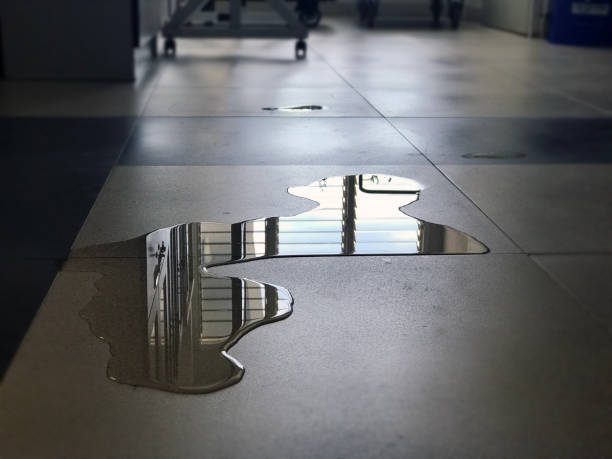 Best 24/7 water damage repair  in Holley, FL