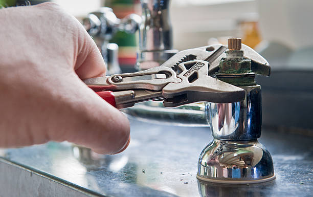 Best Local water damage restoration  in Holley, FL