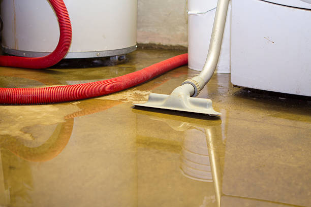 Best 24-hour water damage restoration  in Holley, FL