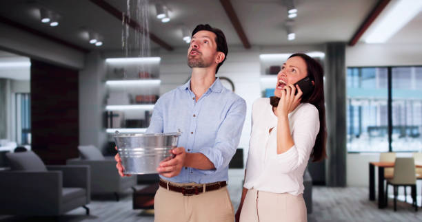 Best Mold removal after water damage  in Holley, FL